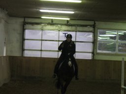 IMG_2995_web